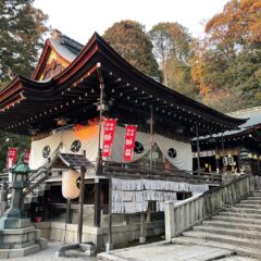 地球神との交流を前向きにあきらめたYuka Mercusとメー様