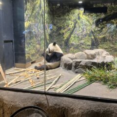 吉方位は今回も雨だった　東京編②