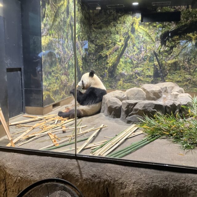 吉方位は今回も雨だった　東京編②